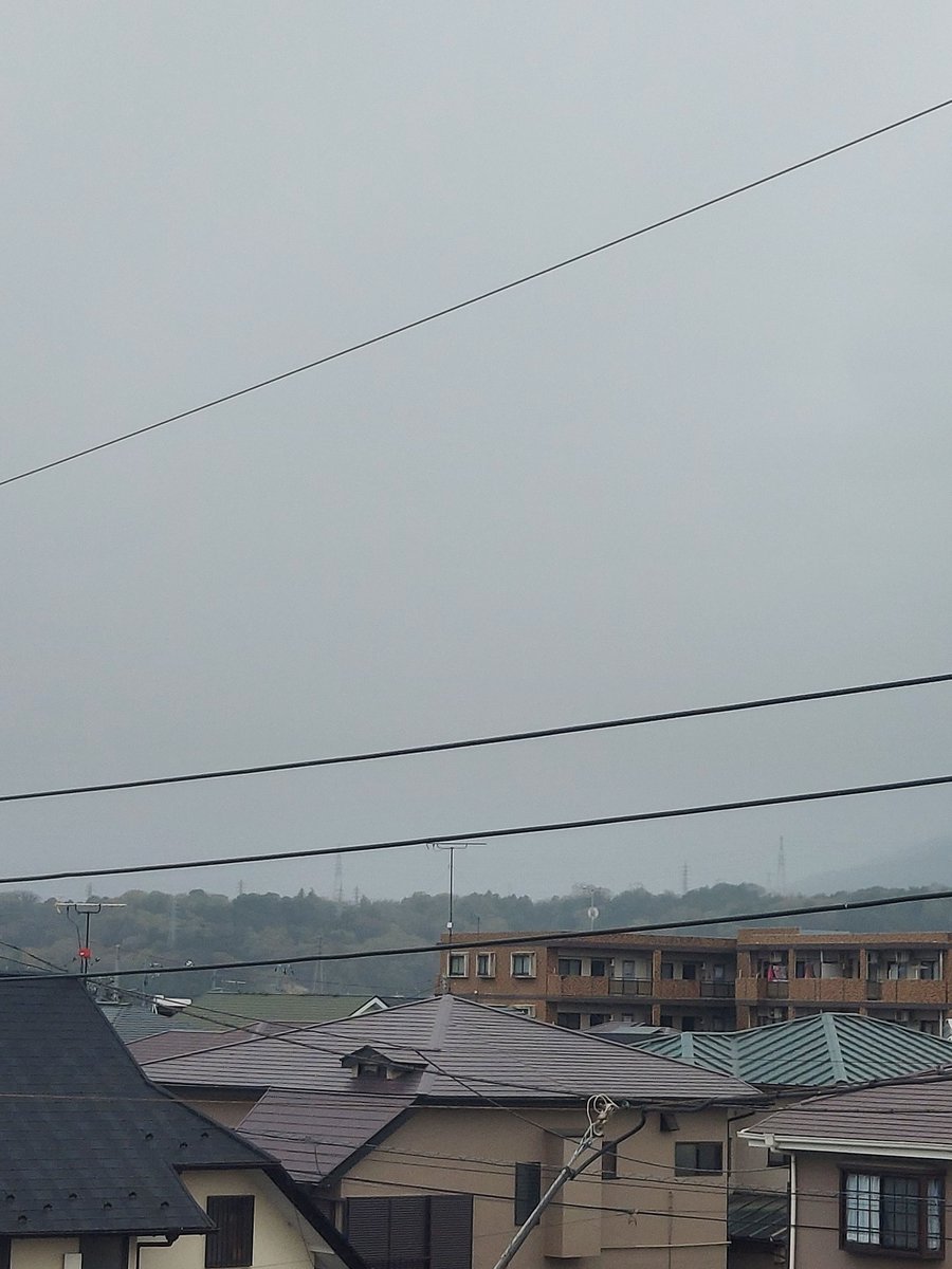 てらっちょ tweet media