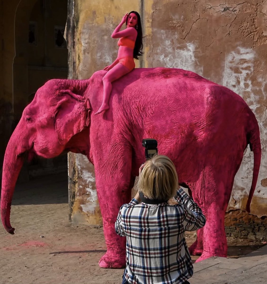 Equality For All Animals🐓 tweet media