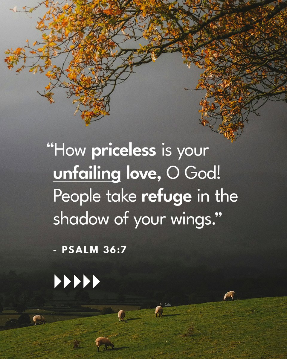 Leading The Way tweet media