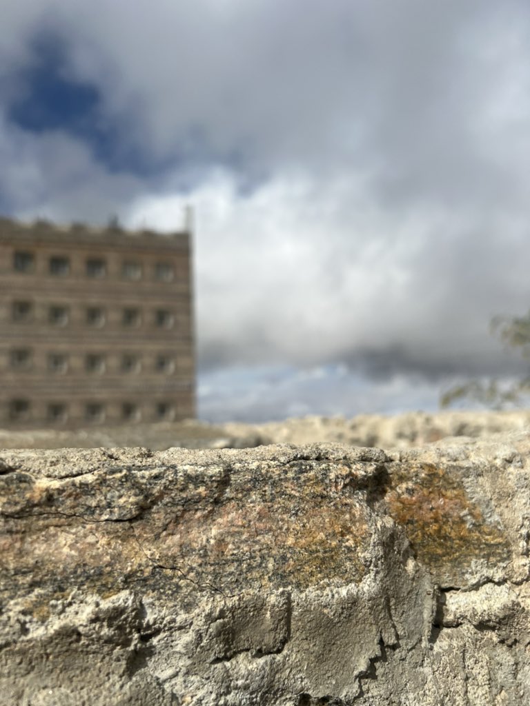 𝑛𝒐𝑝𝒂🦉 tweet media