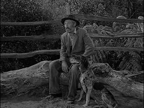 Gene The Revenant tweet media