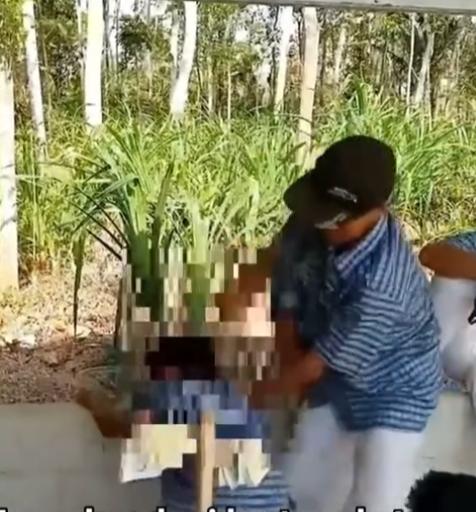 BadDream Curren tweet media