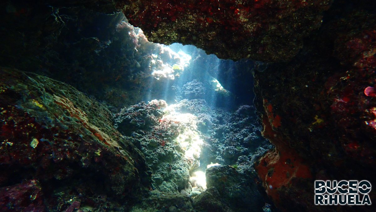 BuceOrihuela tweet media