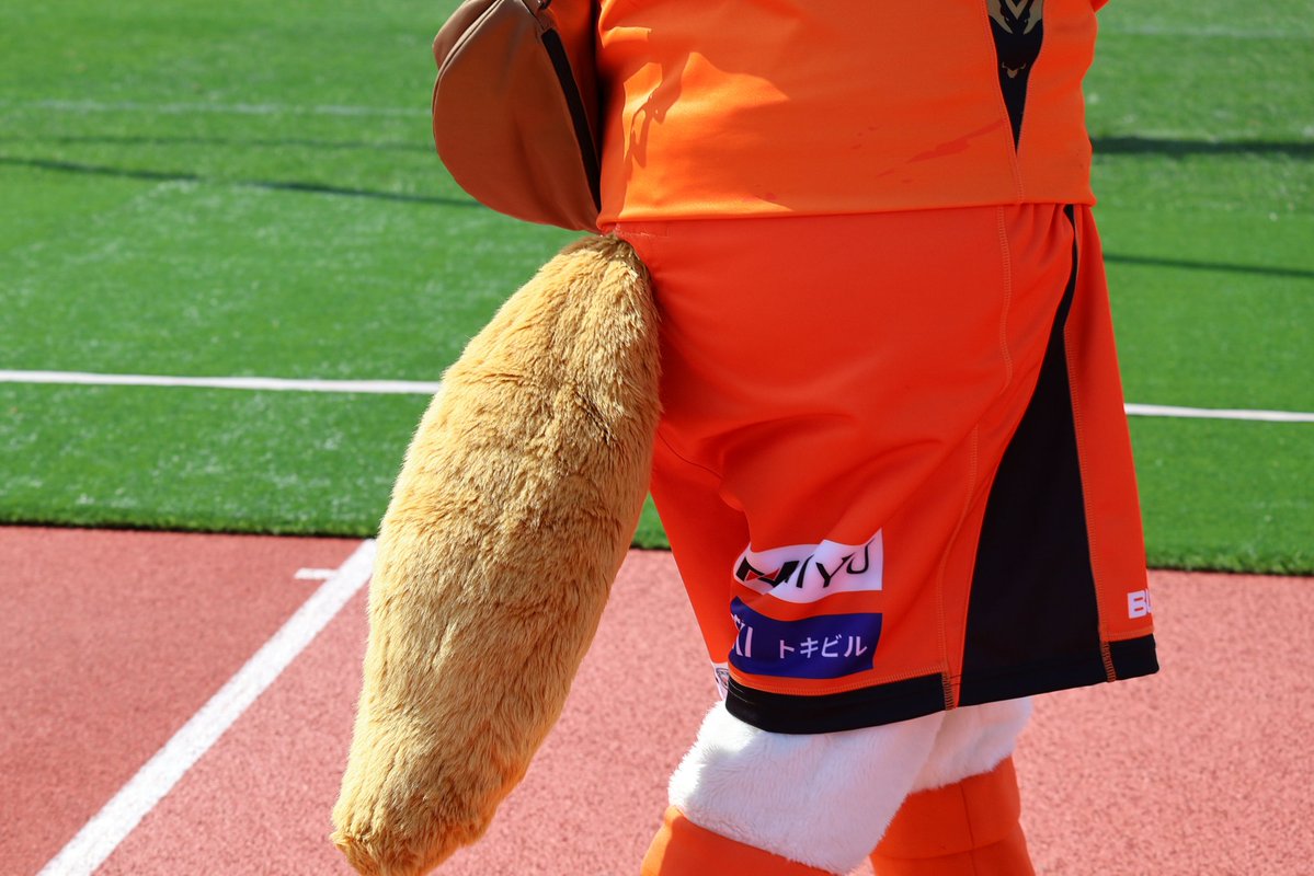 赤いイナズマ tweet media