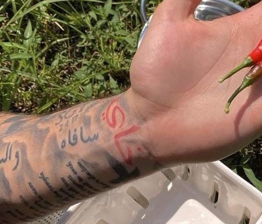 ari 🌪️ tweet media