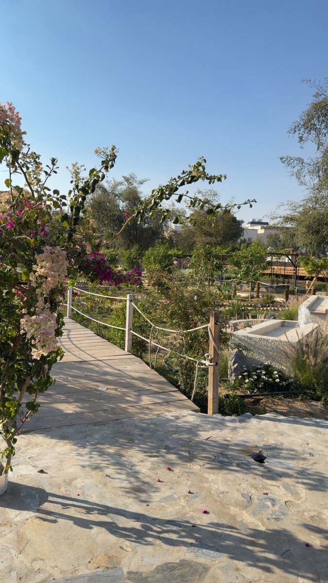 الجمعية الجغرافية السعودية (فرع منطقة عسير) tweet media