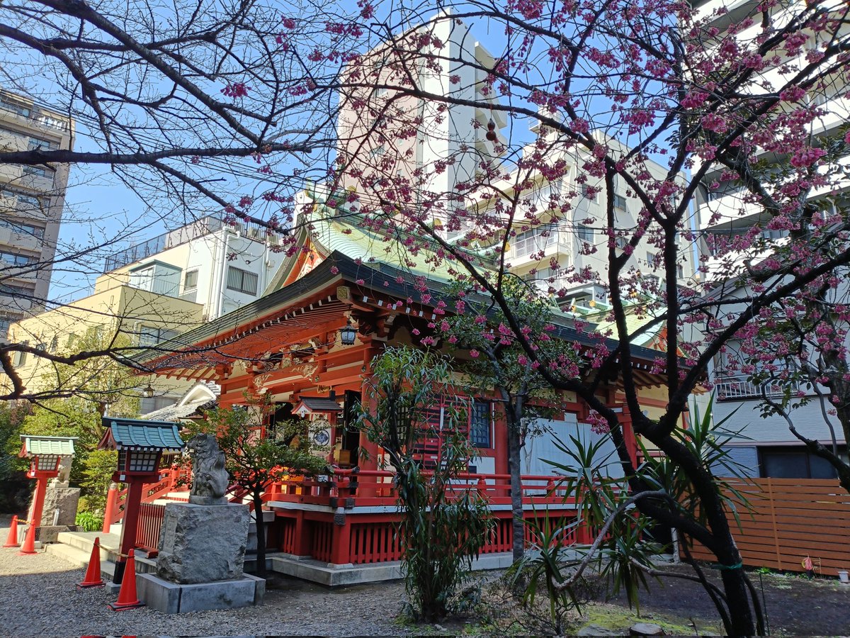 ソナタ14 tweet media