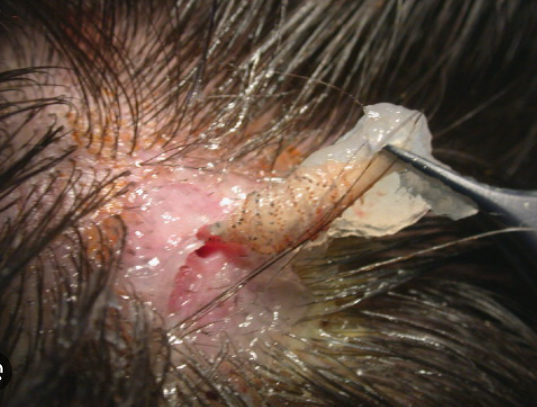 Nuanced Energy tweet media