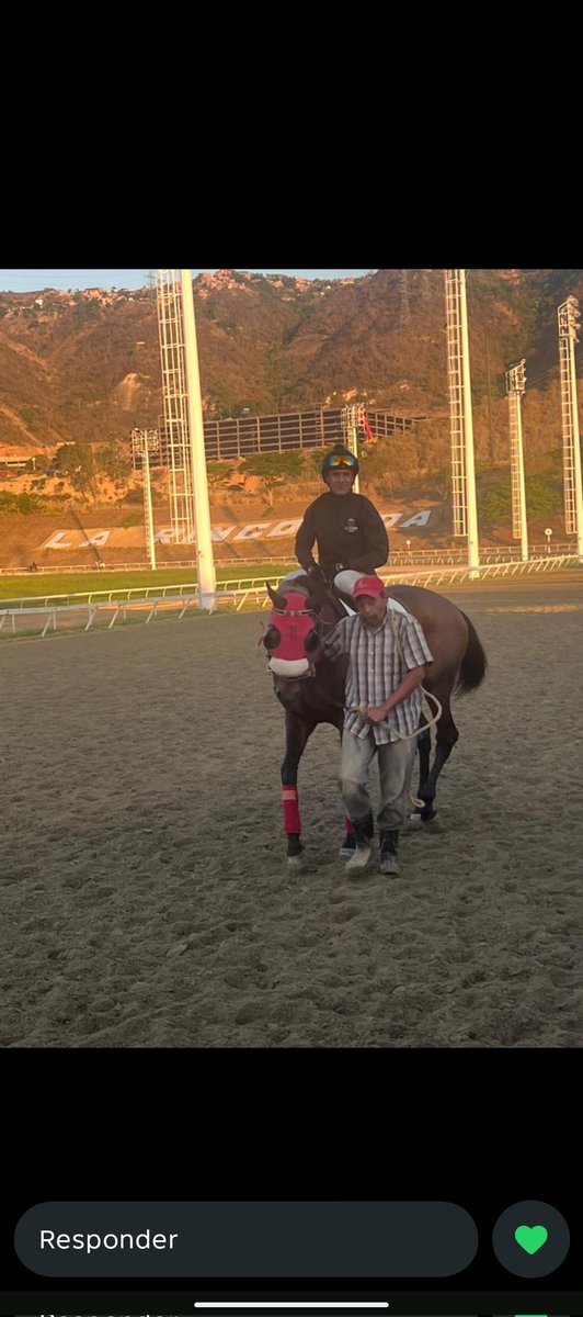 𝑨𝑩𝑹𝑨𝑯𝑨𝑴 𝑴𝑶𝑰𝑺𝑬𝑺 𝑪𝑨𝑹𝑻𝑨𝑮𝑬𝑵𝑨 tweet media