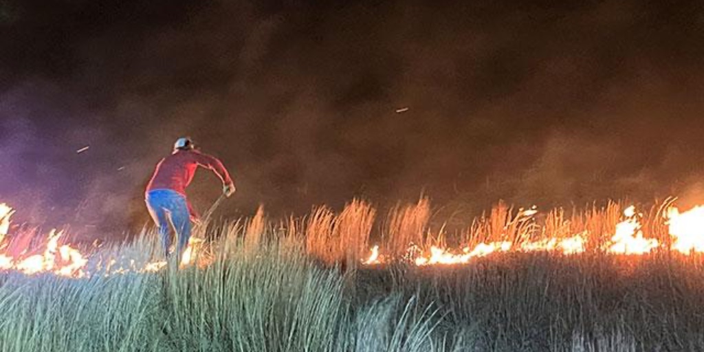 DTN/Progressive Farmer tweet media