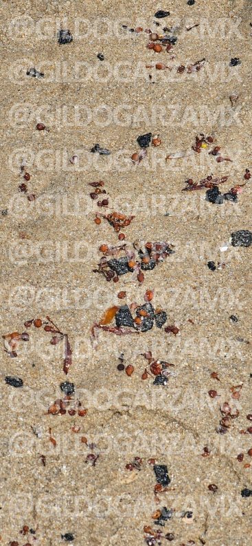 Gildo Garza tweet media