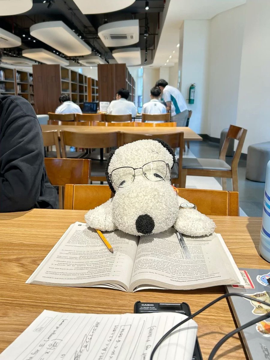 Daily Snoopy tweet media