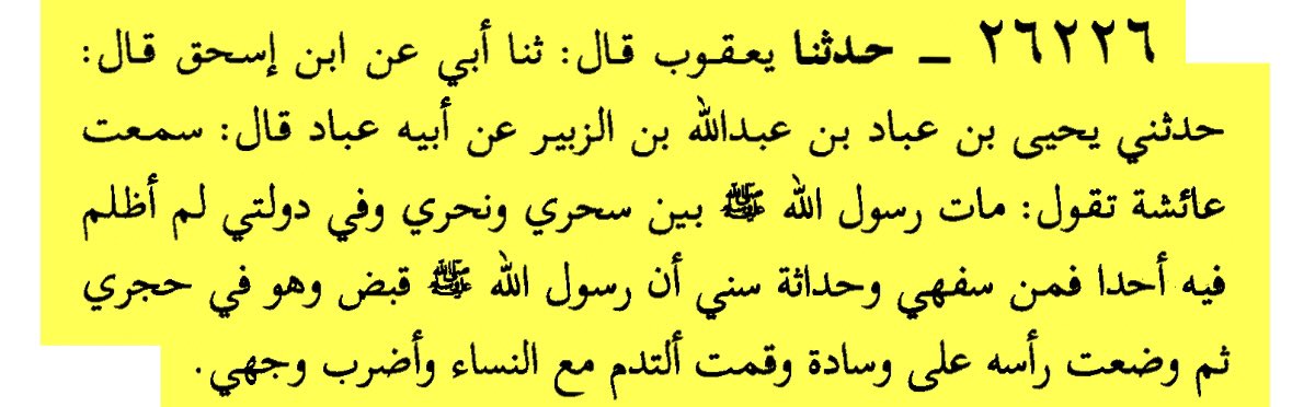 TheShiaView tweet media