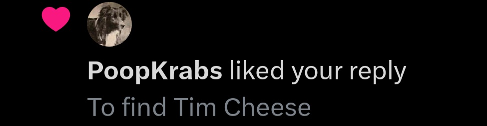 Samuel 🇩🇰✋🏻 tweet media