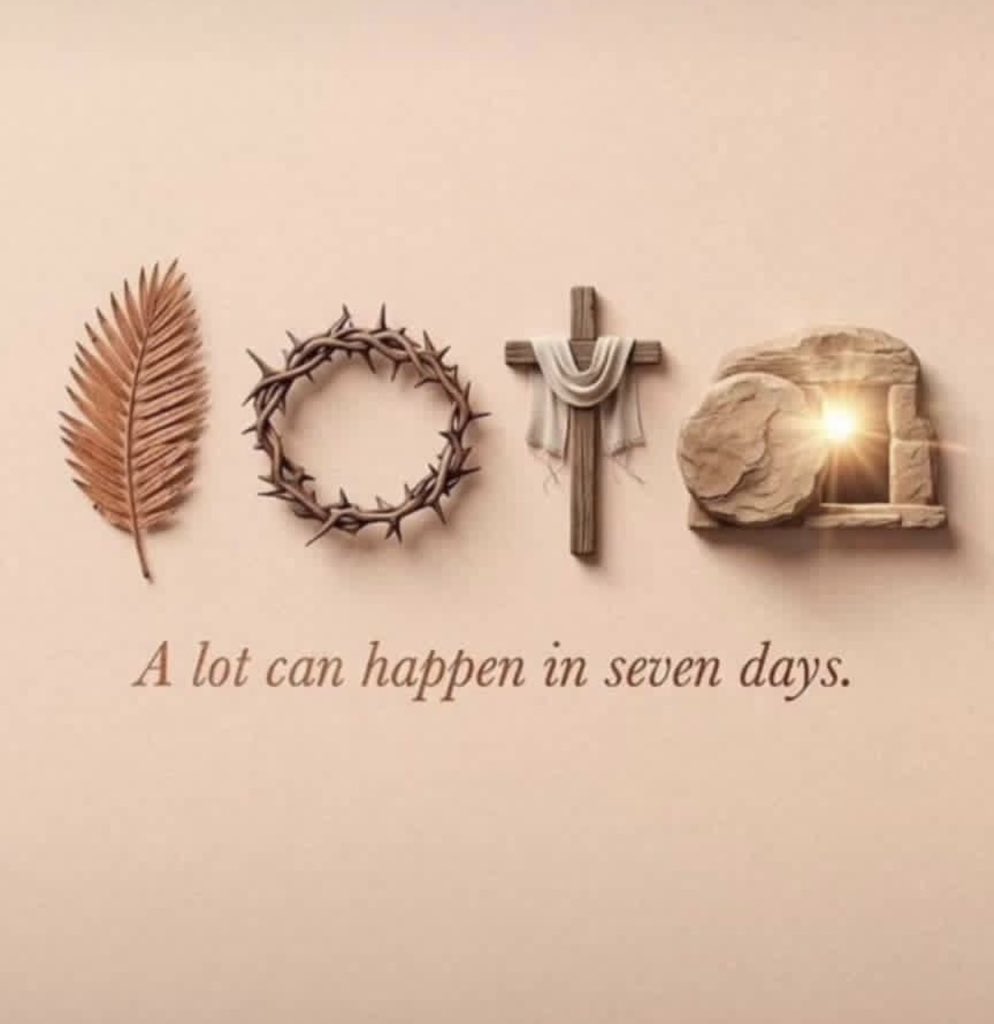 OyinLadun0's tweet image. Hosanna 🙌🙌🙌🙌🙌