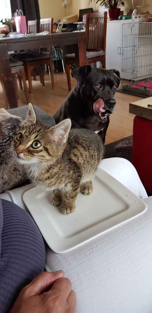 🅾️🅿️🅰️✴️🅿️📧📧✝️ tweet media