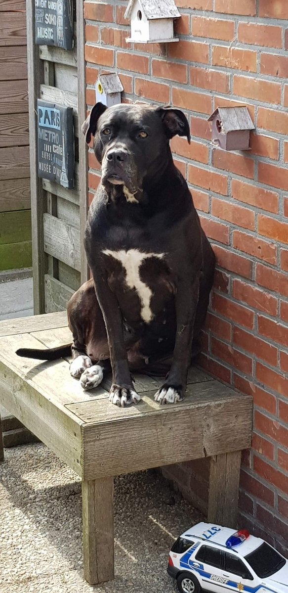 🅾️🅿️🅰️✴️🅿️📧📧✝️ tweet media