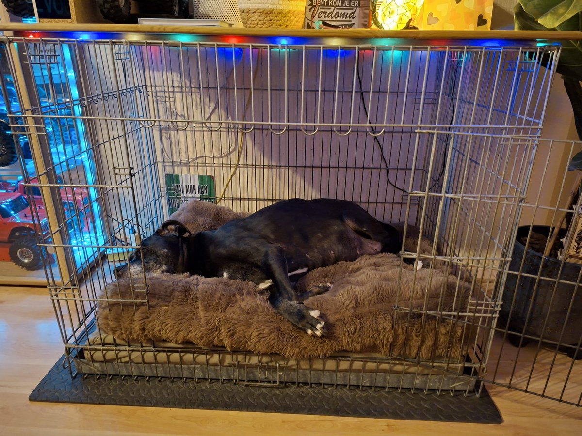 🅾️🅿️🅰️✴️🅿️📧📧✝️ tweet media