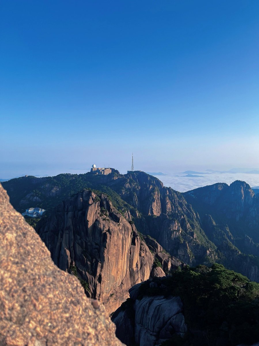 nguyen ngoc chau tweet media