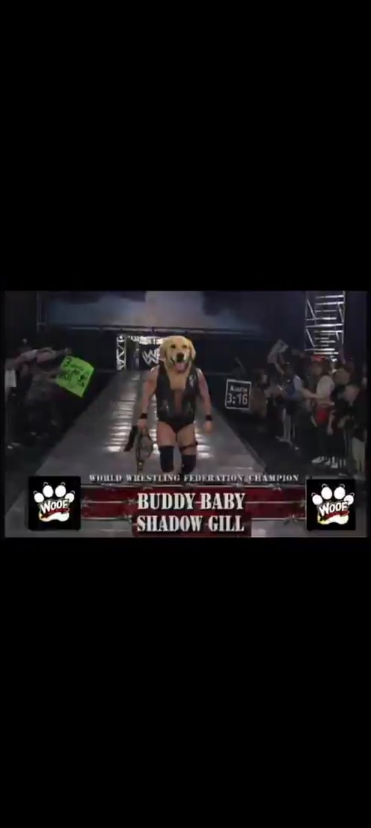 Achilles tweet media