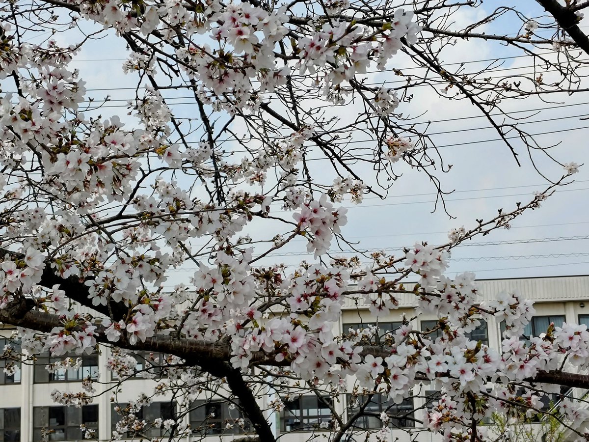 bakery shop avancer(アヴァンセ）【公式】🍞 tweet media