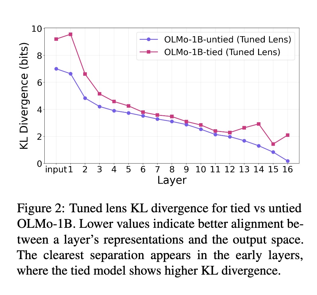 fly51fly tweet media