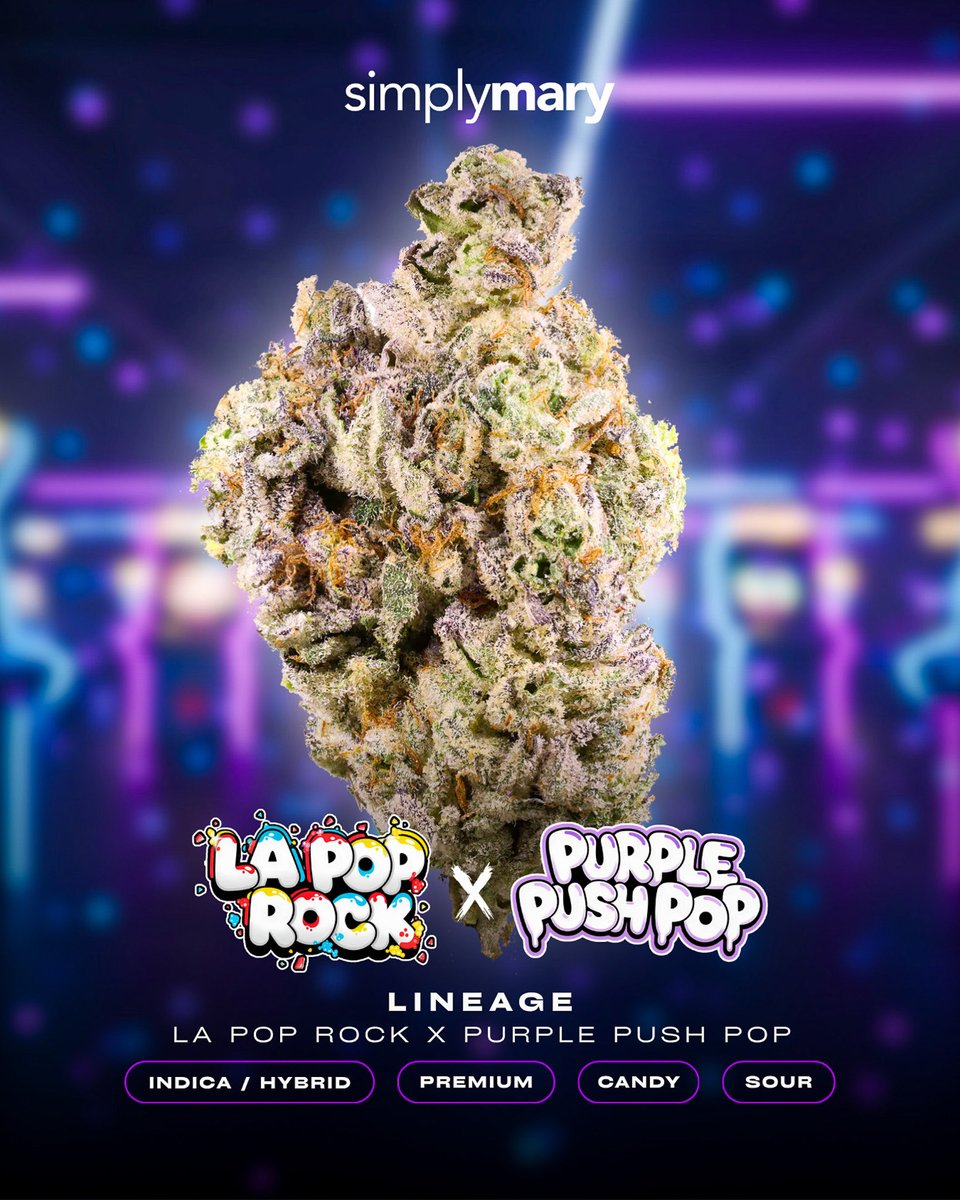 SimplyMary tweet media