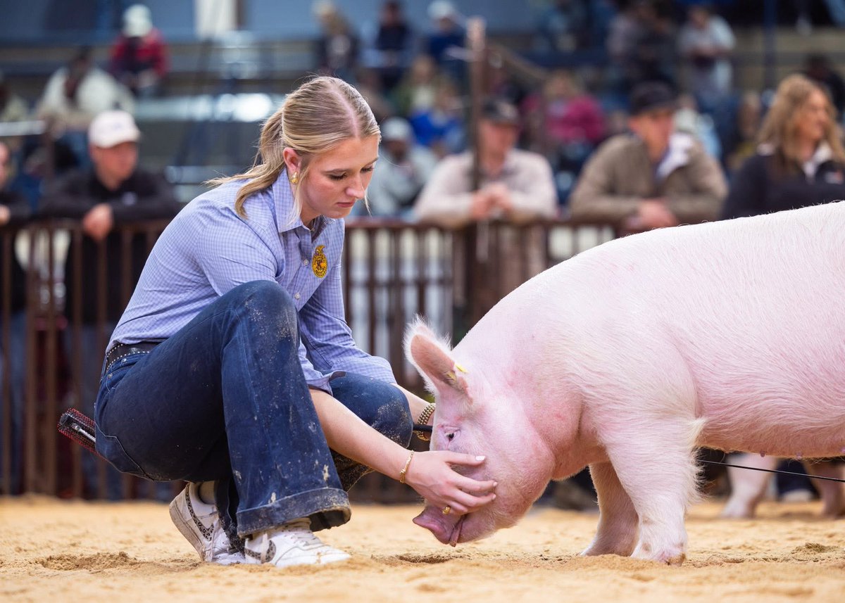 Garrett Davis tweet media