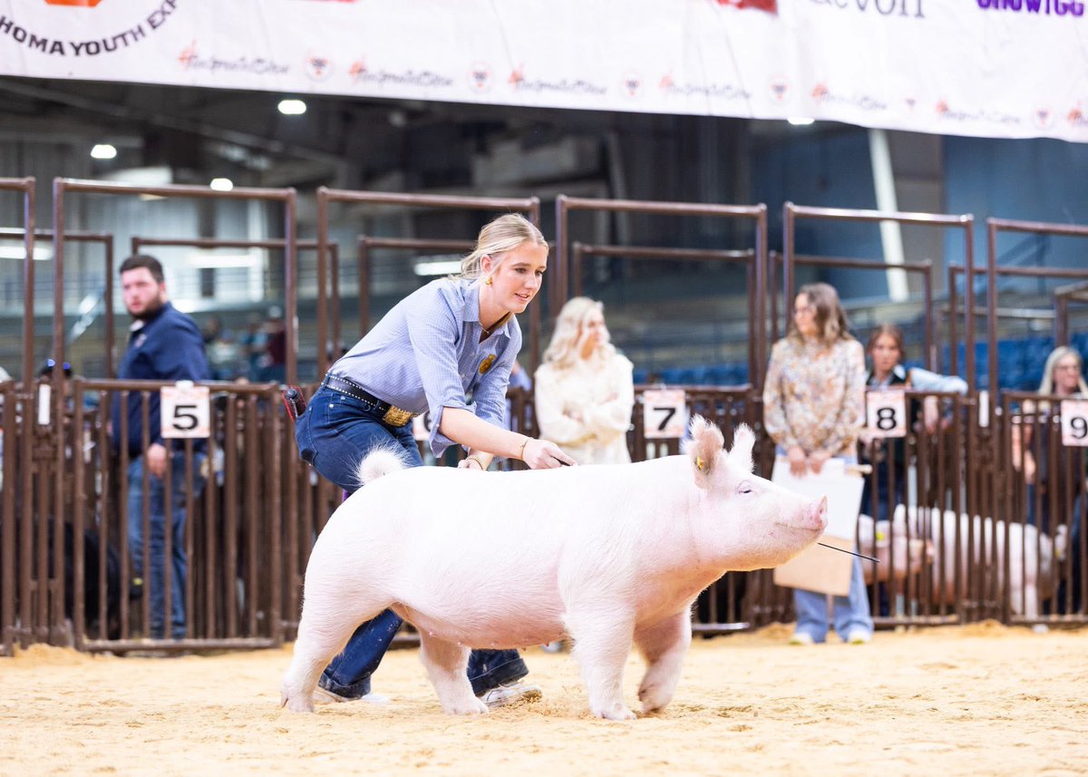 Garrett Davis tweet media