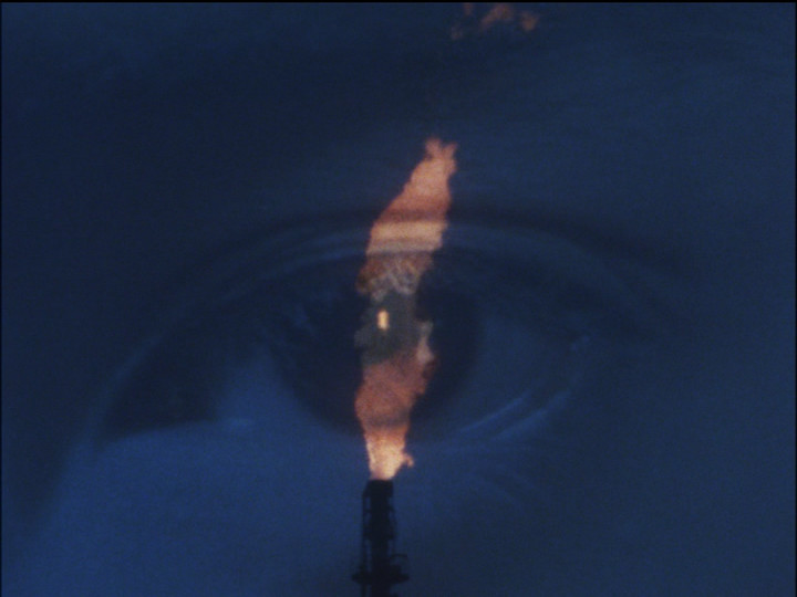 El Sobrante tweet media