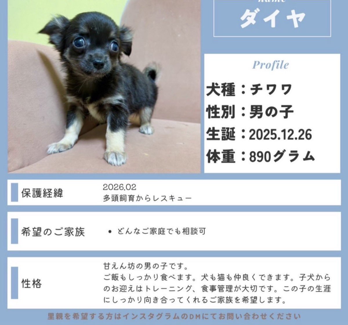 きゅうり鯖之介 tweet media