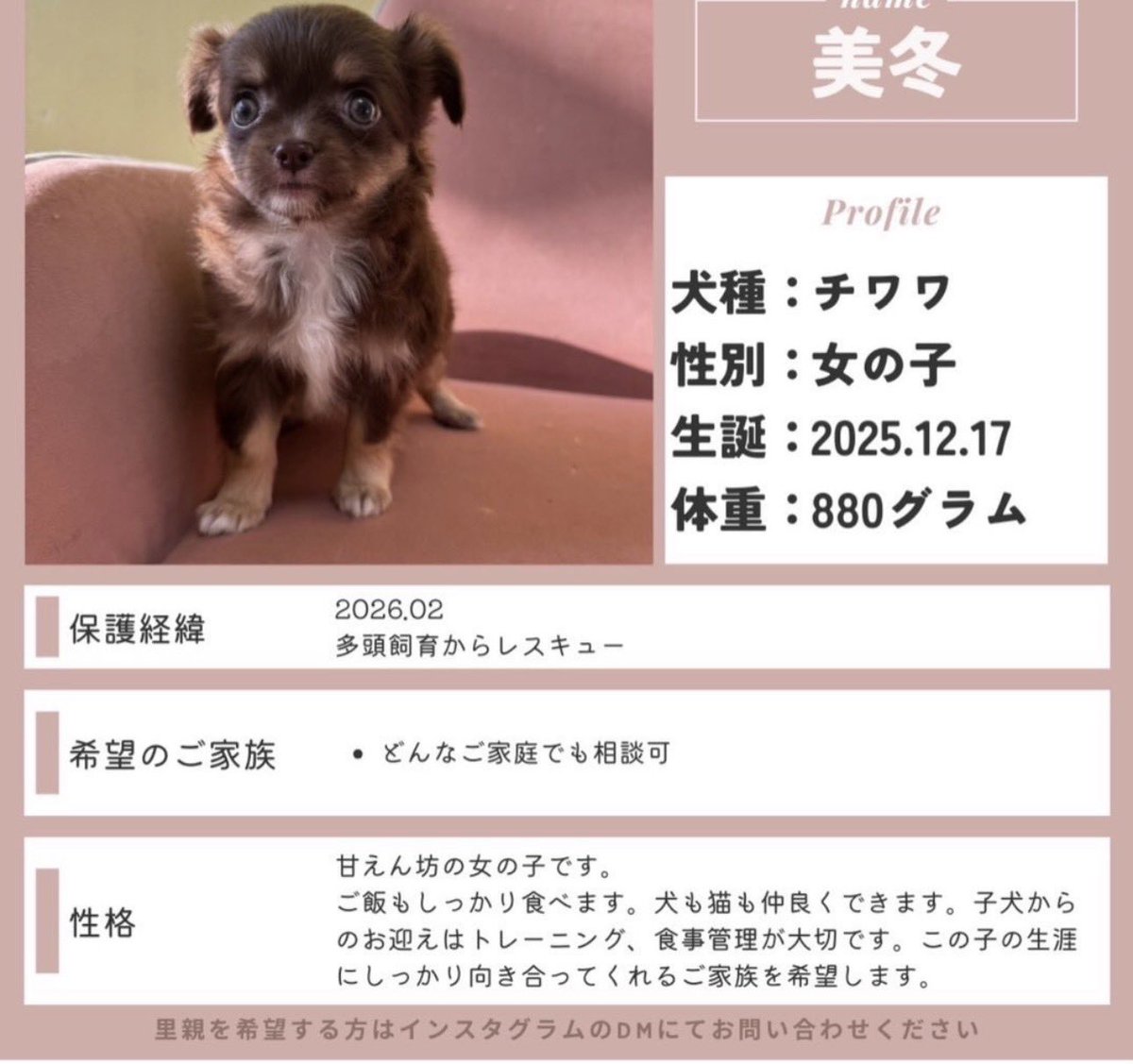 きゅうり鯖之介 tweet media