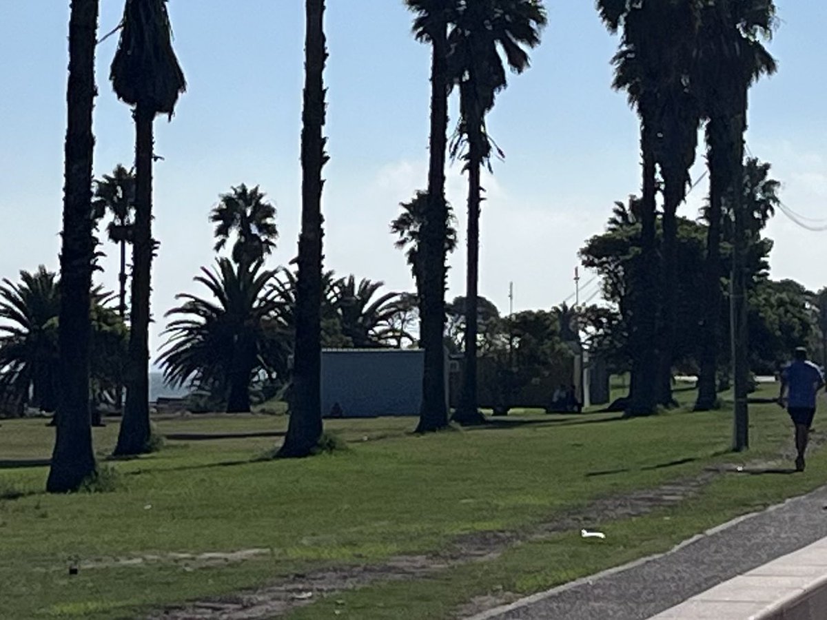 Pedro Apezteguia tweet media