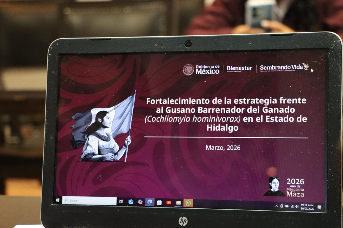 Napoleón González Pérez tweet media