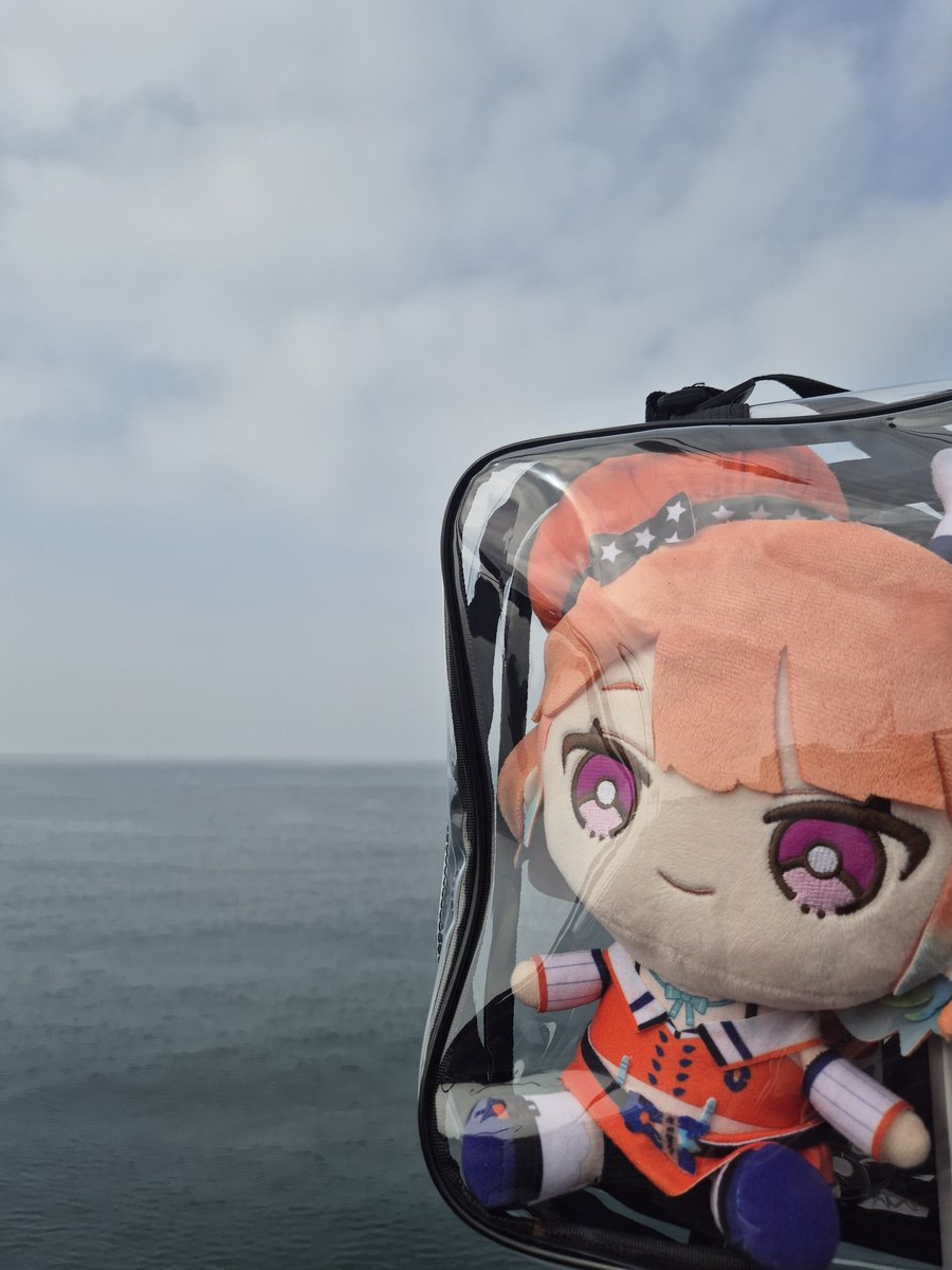 Clover 🐔☄️👾 tweet media