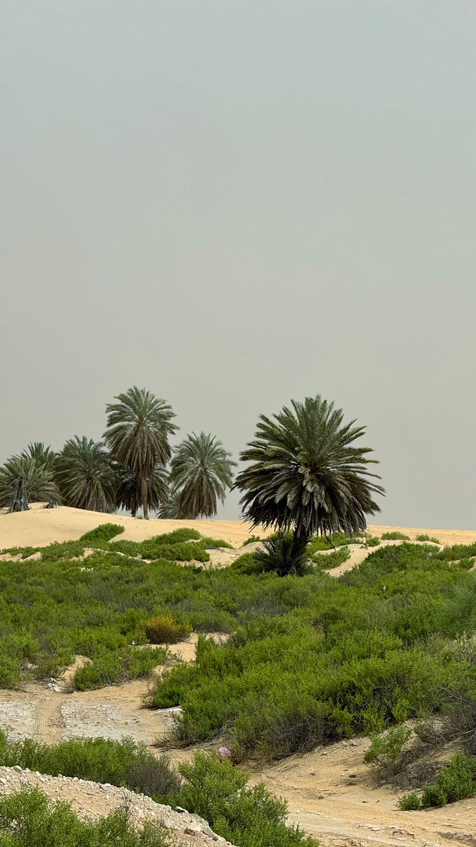 من الناس ⚠️ tweet media