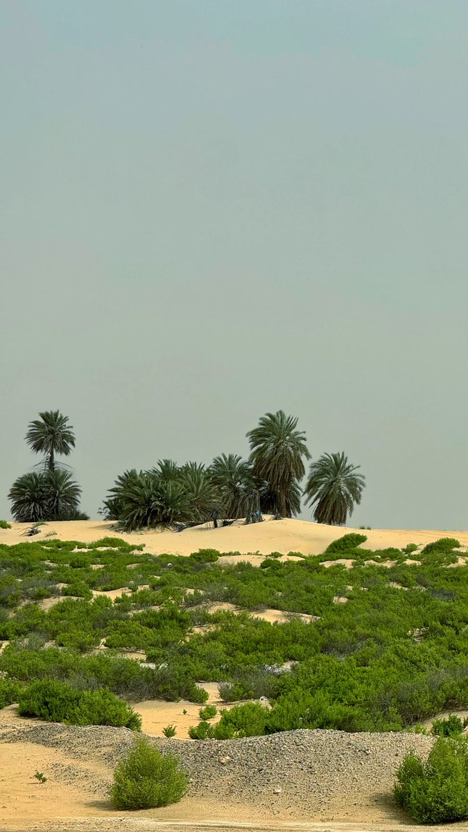 من الناس ⚠️ tweet media