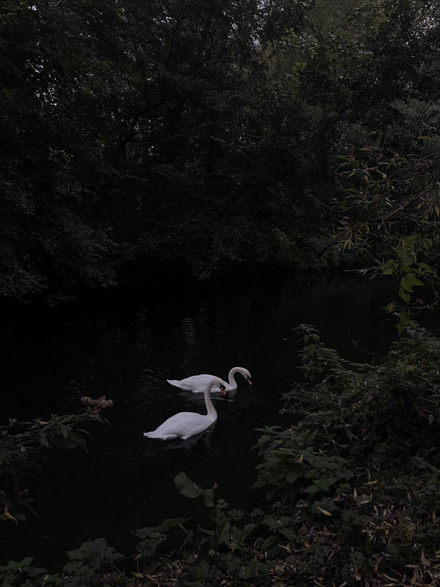 بحر 🌊 tweet media