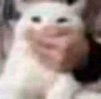 ImnøtHari(。⁠□⁠°)?¿ tweet media