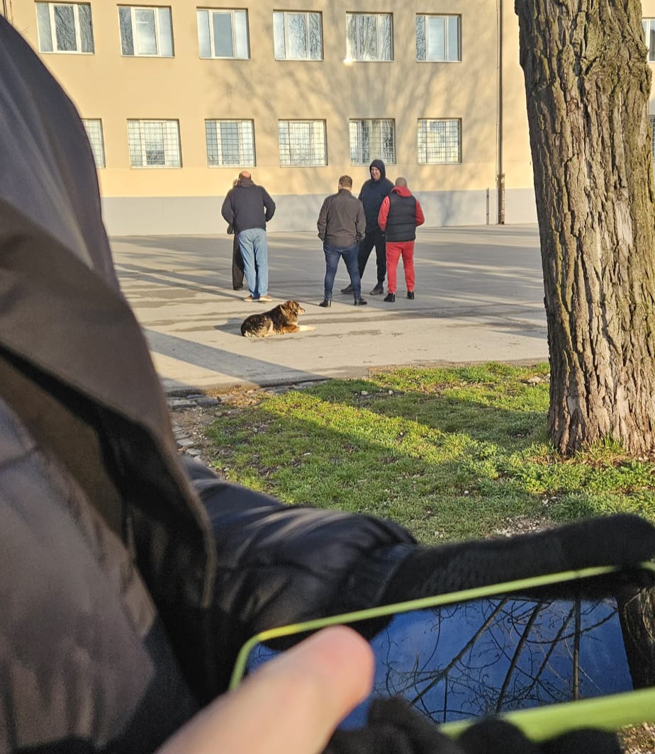 Milutin Milošević tweet media