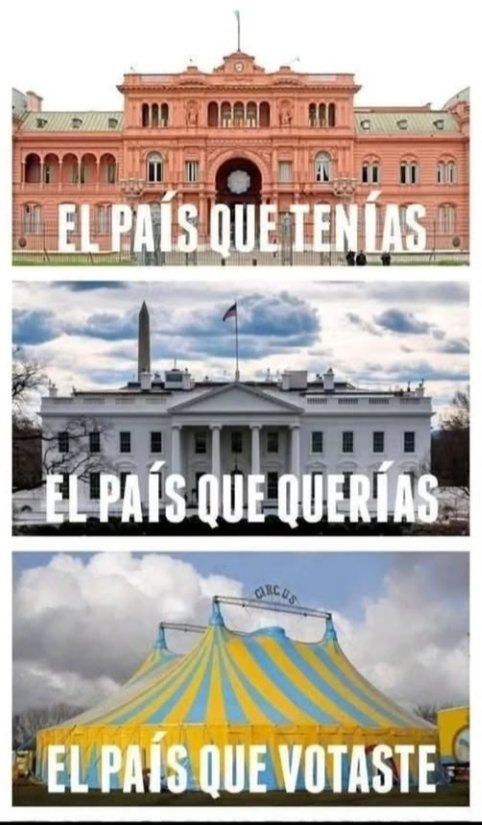 Gato del Monte tweet media