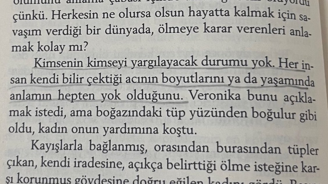 ava☀️ tweet media