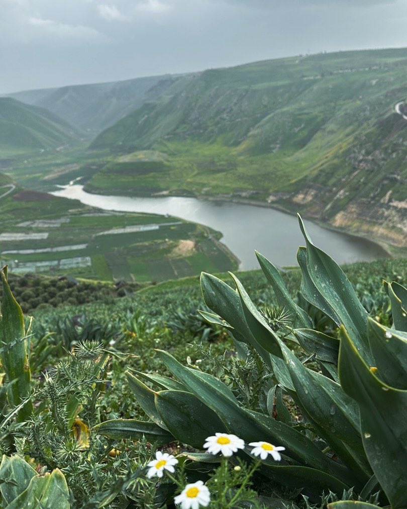 Wolverine tweet media