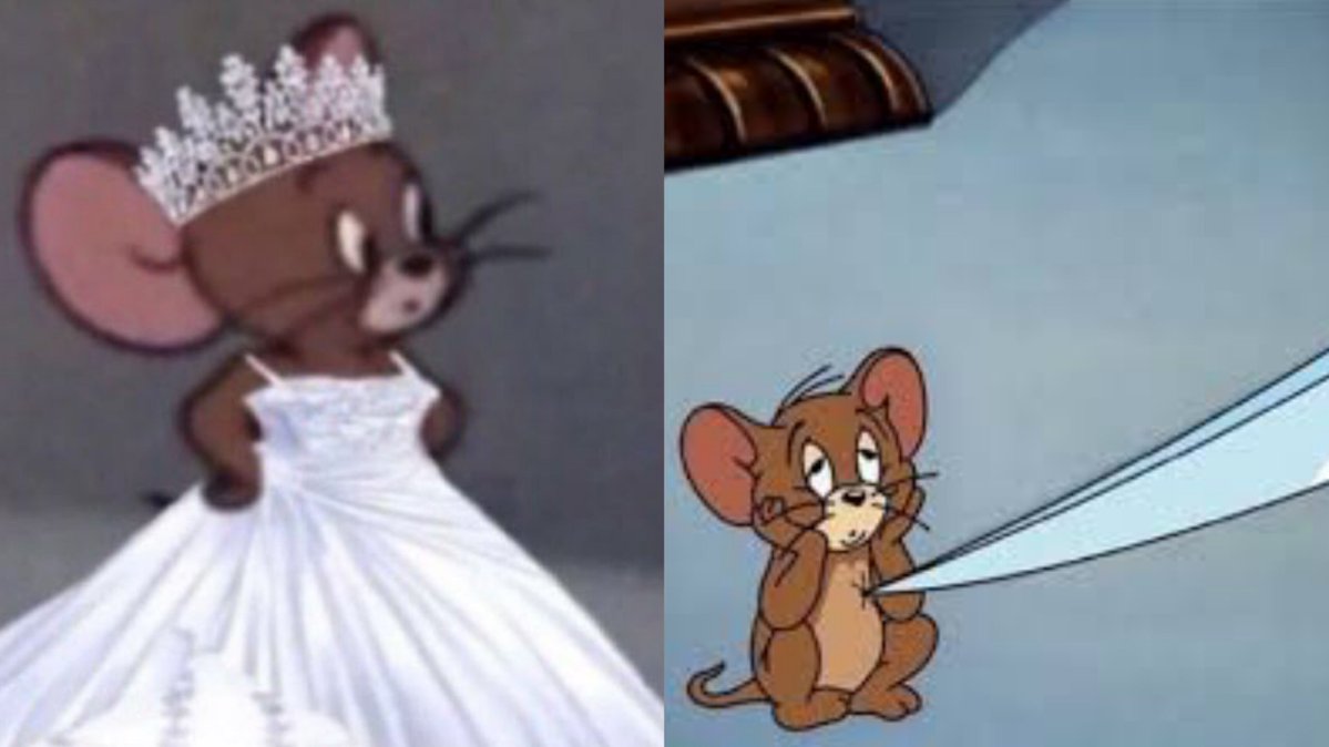 حمامة سلام tweet media