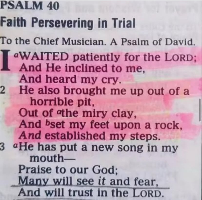 Bible 365 tweet media