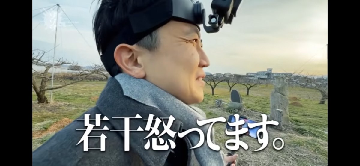 ᴬᴺᴺᴬ tweet media