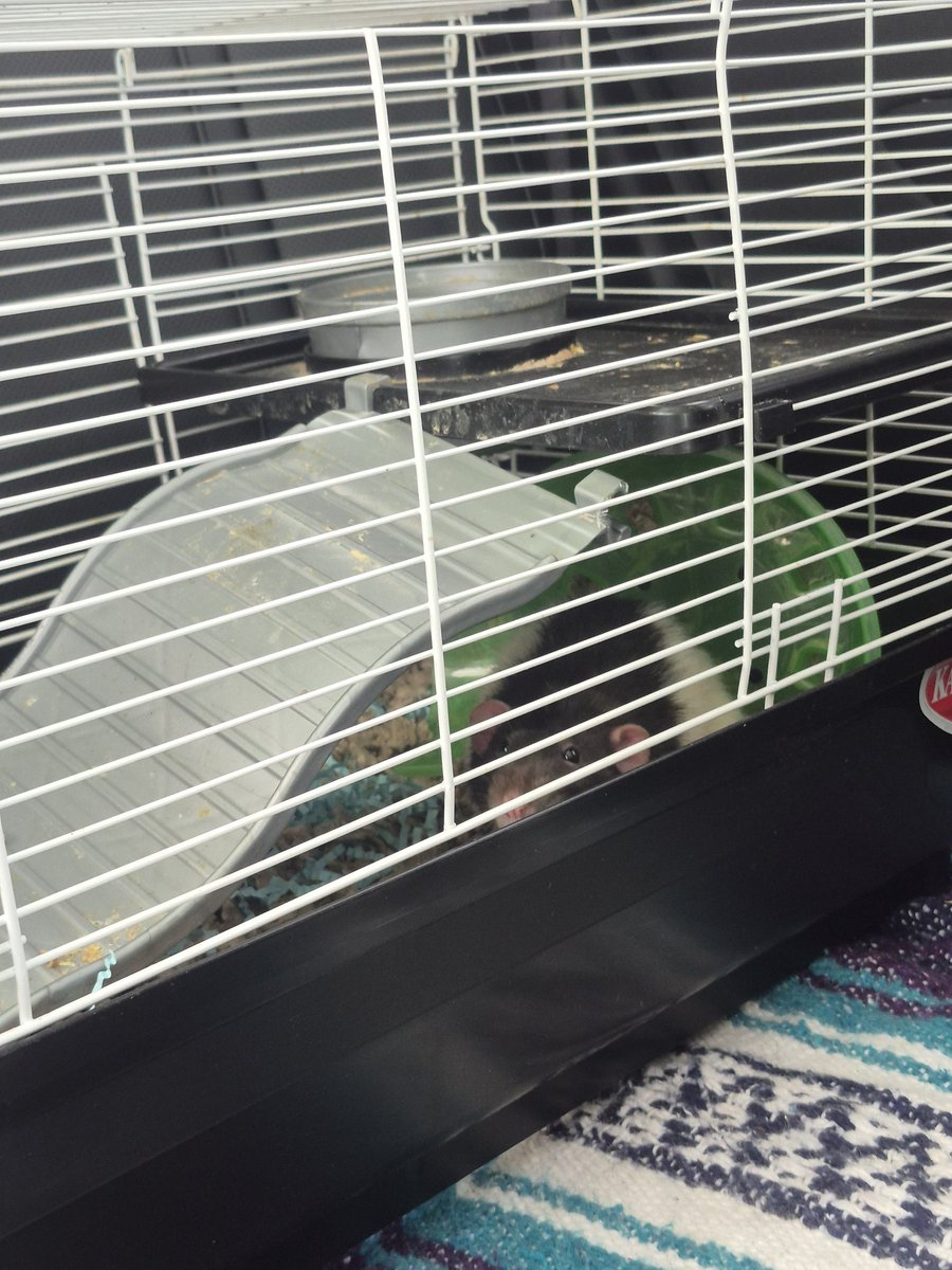 stretched john tweet media