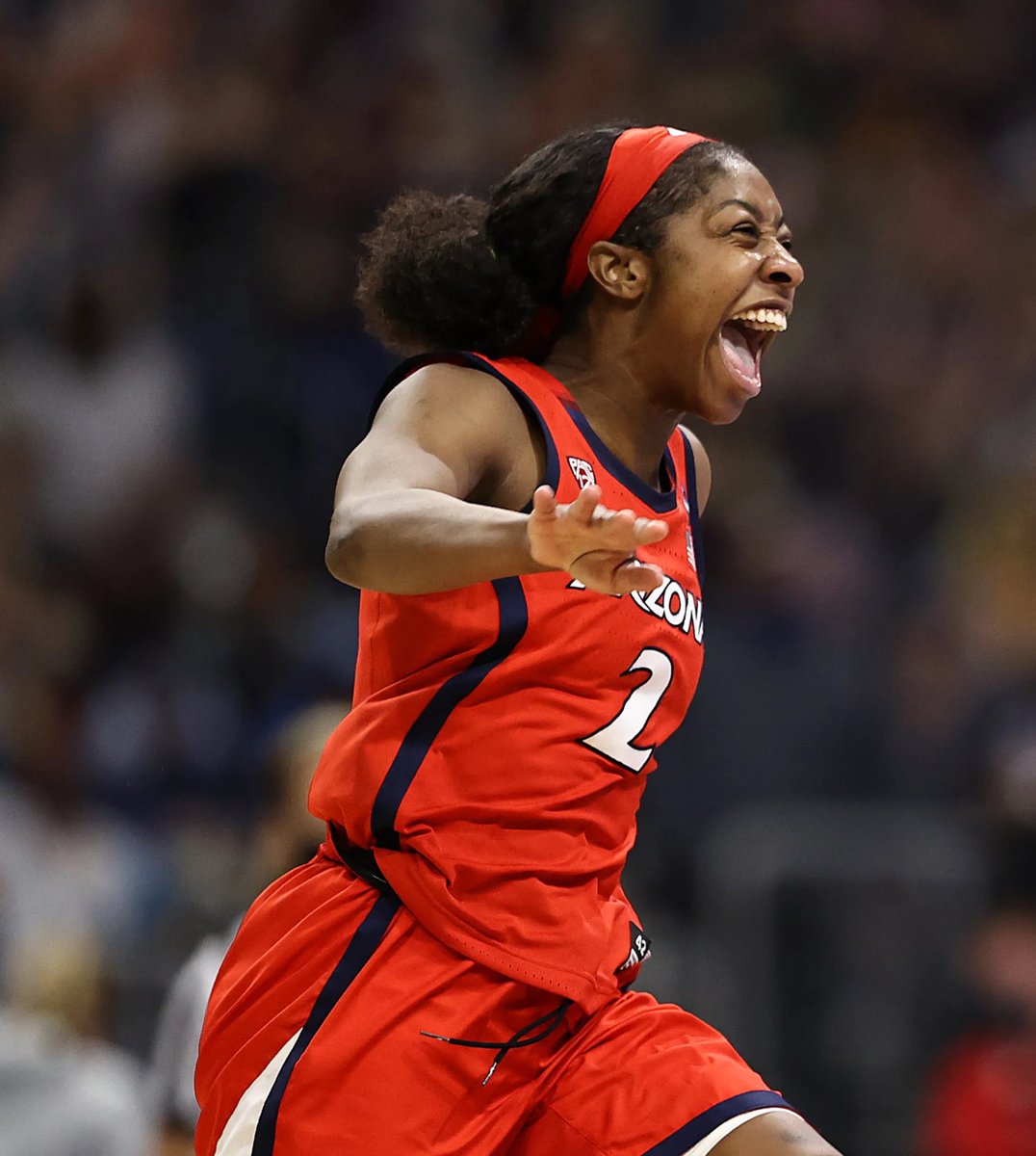 I talk hoops 🏀 tweet media