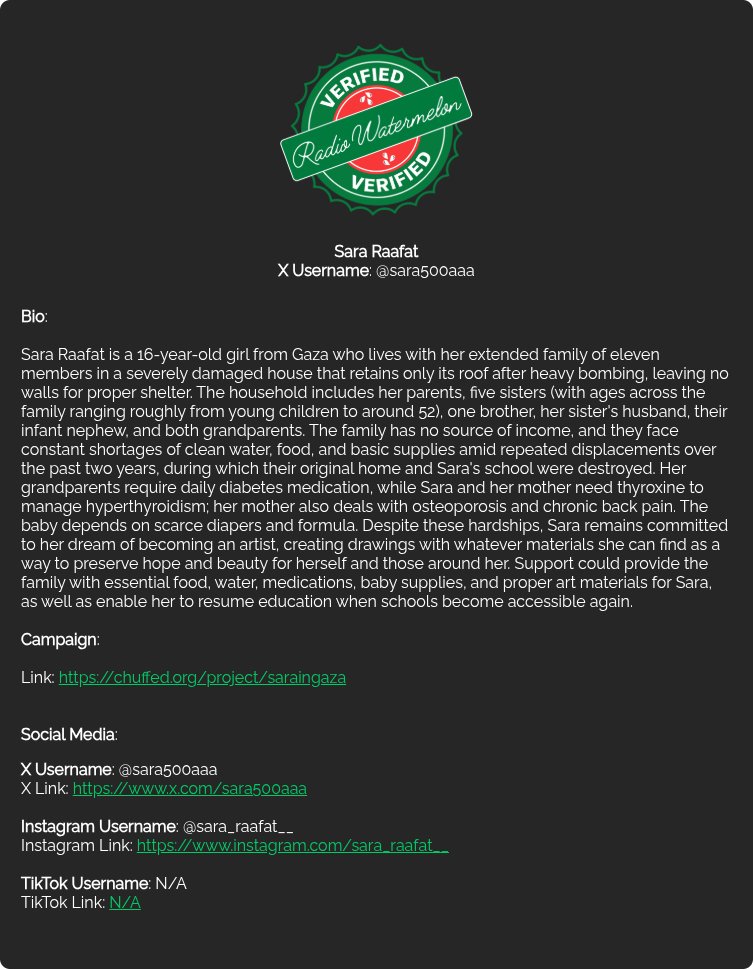 artist Sara in Gaza 🎨📍🇵🇸 tweet media