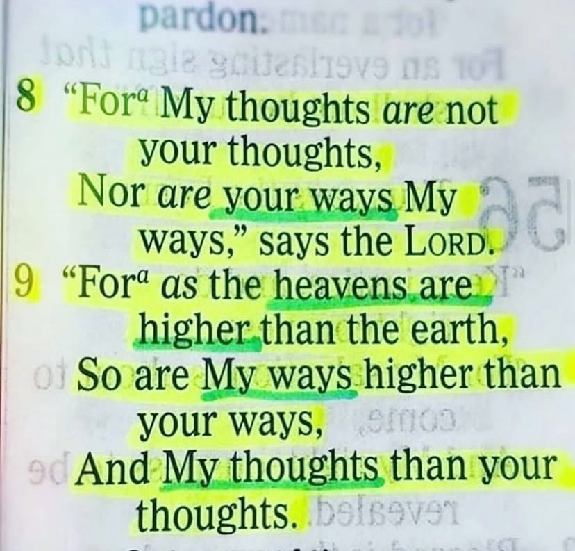 Bible 365 tweet media